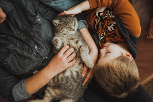 Comprehensive Pet Care in Abu Dhabi: From Nutrition to Grooming, Everything You Need to Know