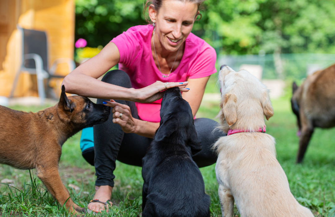 Petlounge, Pet training sessions in Abu Dhabi