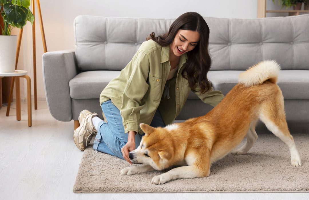 Petlounge Pet Day Care & Boarding in Abu Dhabi
