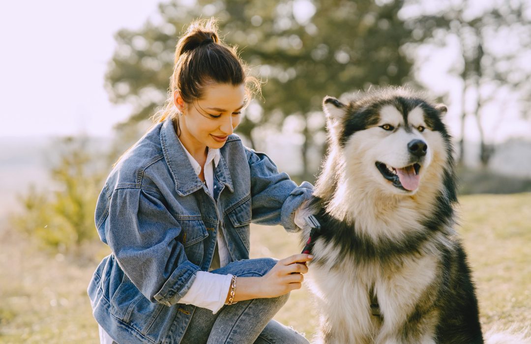 Woman in a spring forest. Girl with cute dog. Brunette in a jeans jacket.